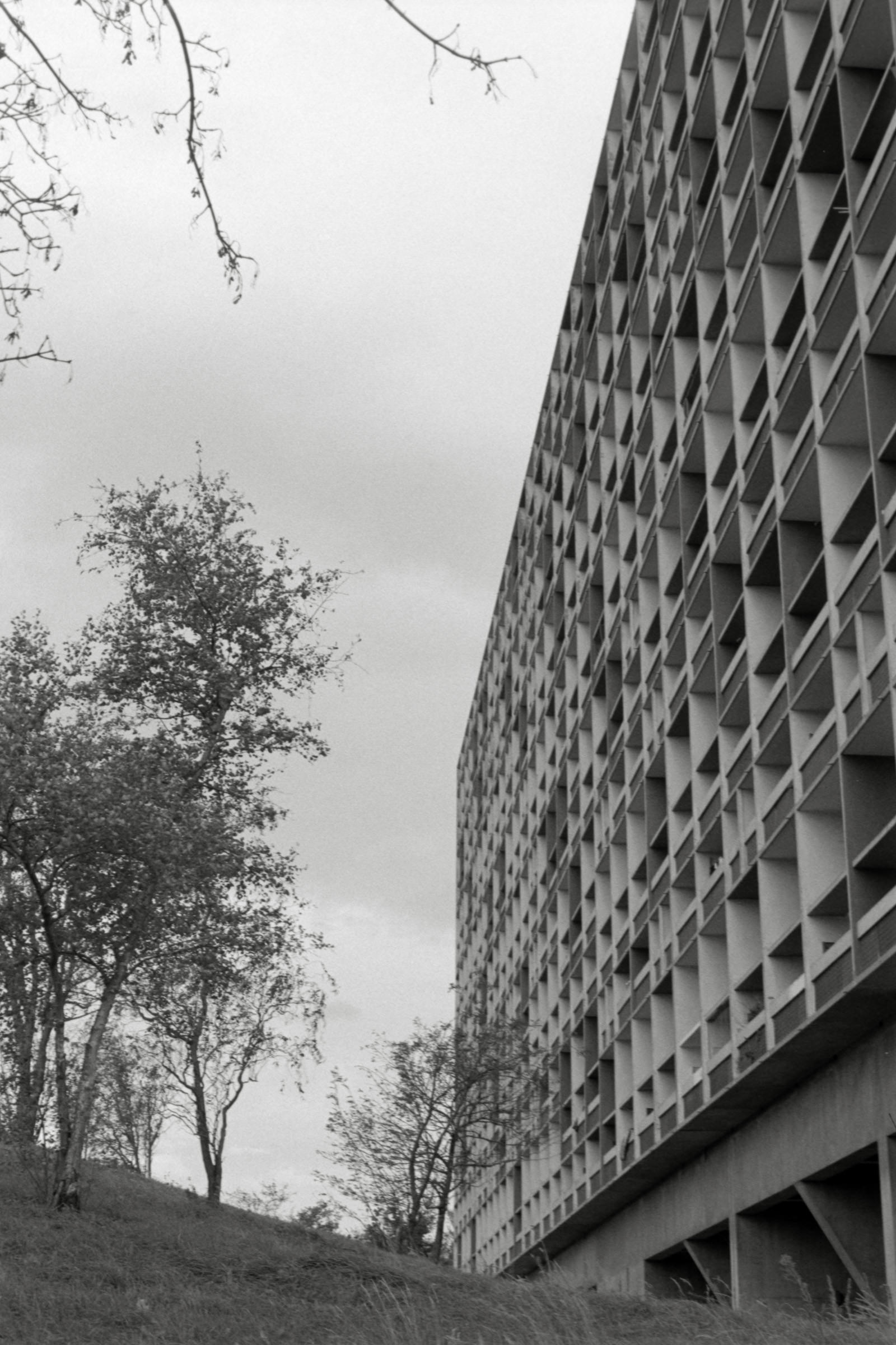 AHP F1995 10 004 sc240816 img29 NLP